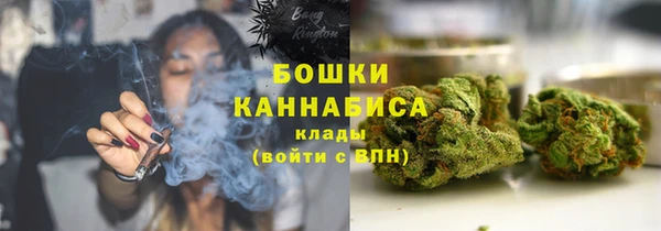 шишки Нягань