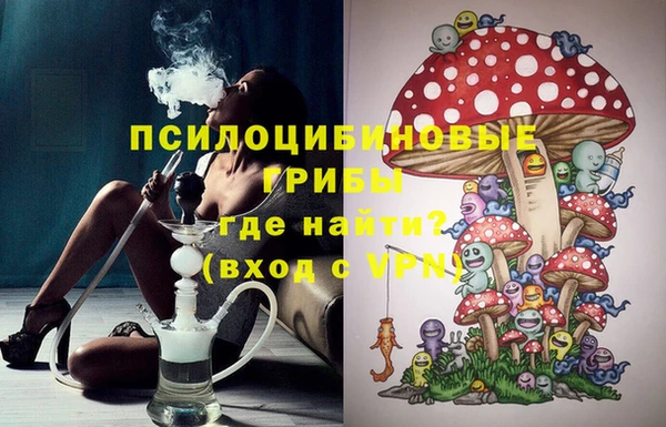 дмт Няндома