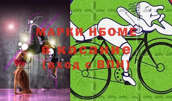 шишки Нягань