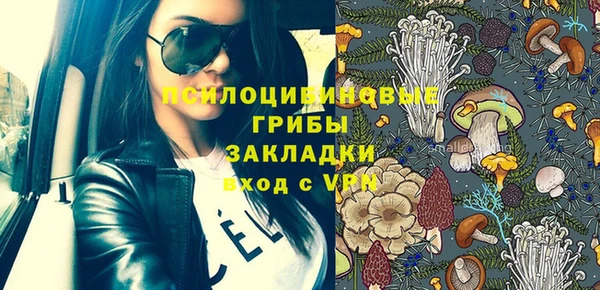 дмт Няндома