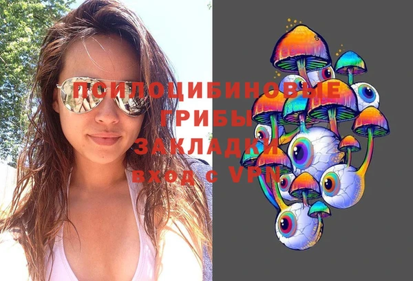 шишки Нягань